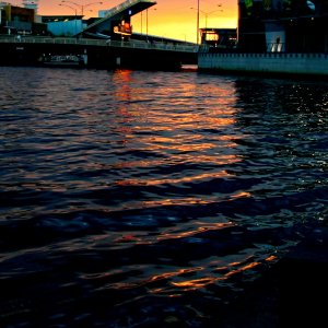 IMG_6590.JPG