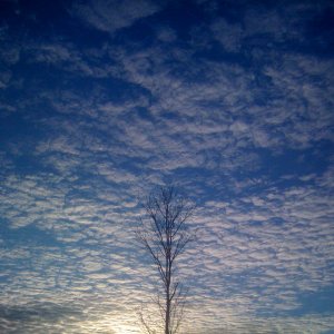 IMG_0484.JPG