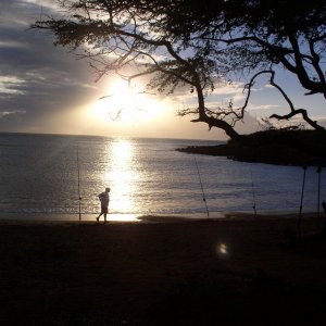 a fish mkk 04 molokai.jpg