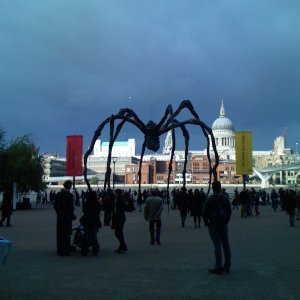 IMG_0016.JPG