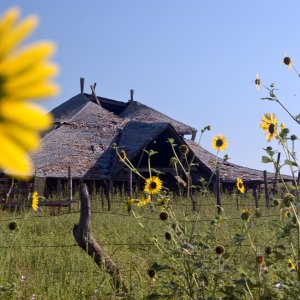 sunflower-house.jpg