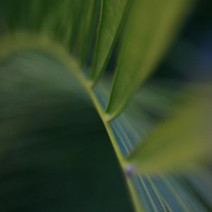 _MG_8312.jpg