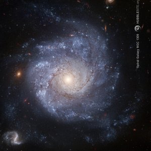 Spiral Galaxy NGC 1309-1280_wallpaper.jpg