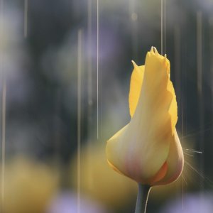 IMG_5342.jpg