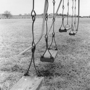 swings_3.8563416_std.jpg