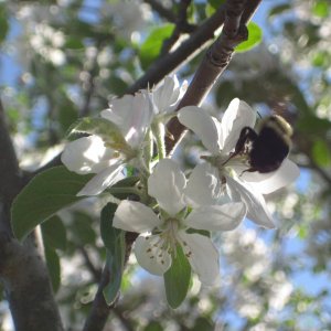 IMG_0625.JPG