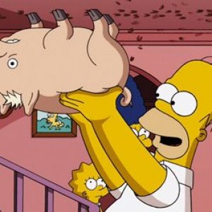 simpson-spider-pig.jpg