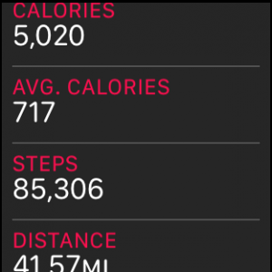 steps.png