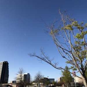 IMG_4368.jpg