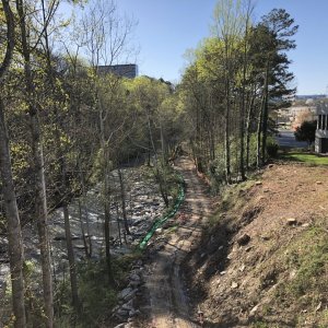 IMG_4380.jpg