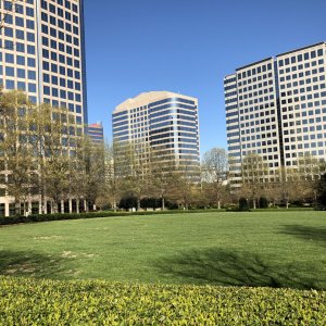 IMG_4384.jpg