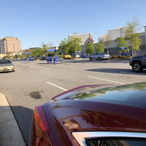 IMG_4420.jpg