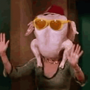 Untitled-1.gif