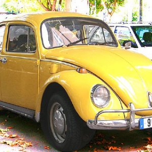 VWbug.jpg
