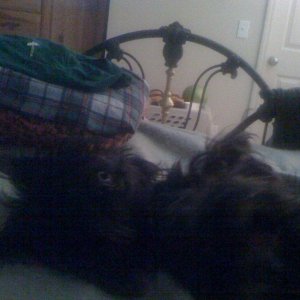 IMG_0064.jpg