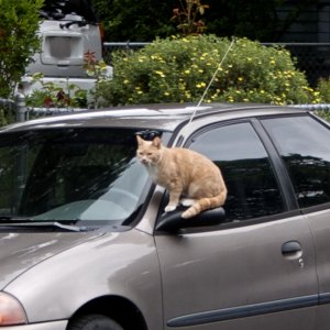 Are we there yet.jpg