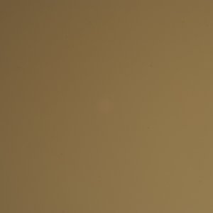 DSC_1225.jpg
