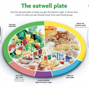 eatwellplatelarge.jpg