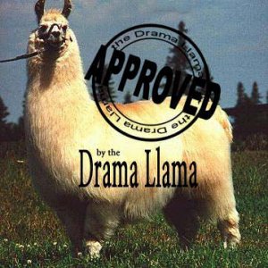 drama_llama.jpg