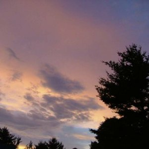 DSCF0705.jpg