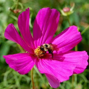 DSC_1784.JPG