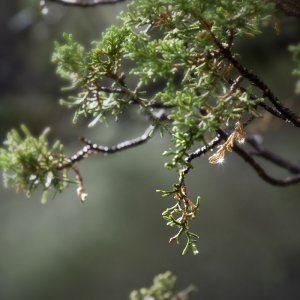 IMG_9540.jpg