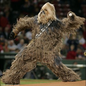 bddchewbaccadx1.jpg