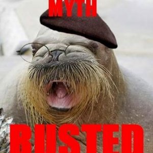 mythwalrus_2.jpg