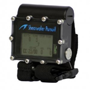 shearwater pursuit.jpg