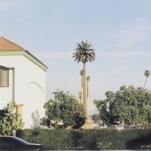 Sample VZW monopalm #1 Knotts Palm 3.jpg