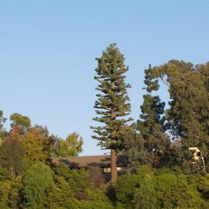 California medical 045.jpg