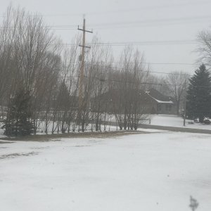 B53408E4-6E29-4CB0-B482-25C0F48ED5C3.jpeg