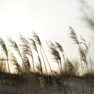 7B6B70A0-B5DB-4D45-A127-918954F29BD7.jpeg