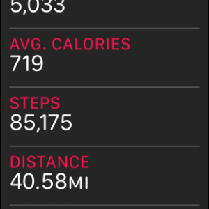 STEPS.png