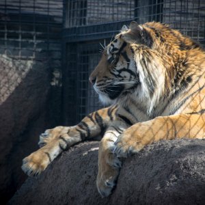 DSC_0165.jpg