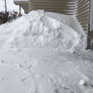 D090D210-3EDF-4BD3-87C3-2825FA5BDF46.jpeg