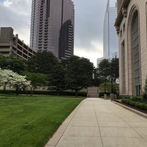 IMG_4568.jpg