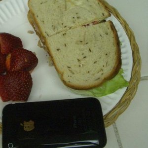 iPhone_sandwich1.JPG