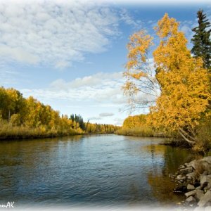 Chena092008.jpg