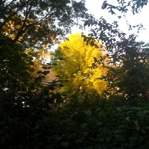 photo.jpg