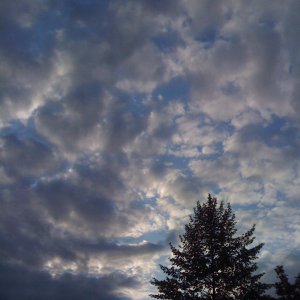 IMG_0025.JPG