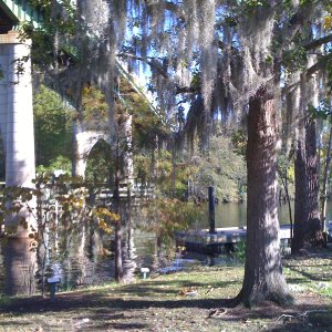 IMG_0128.jpg