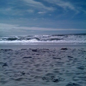 beach.jpg