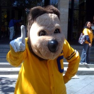 Oski.jpg