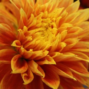 IMG_0289.jpg