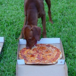 rudy eats first pizza (2).jpg