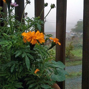 photo.jpg