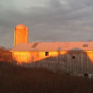 farm2.jpg