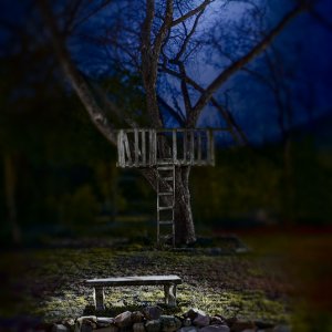 moonlit_bench.jpg