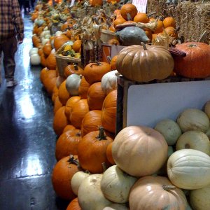 photo(3).jpg